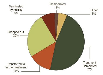 Completion Rates For Drug And Alcohol Treatment