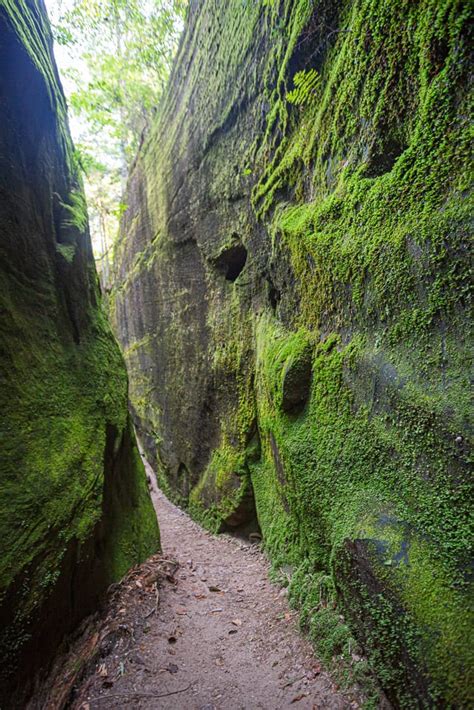 190911c Dismals Canyon 190911c Dismals Canyon IMG_4889s | Grasping for ...