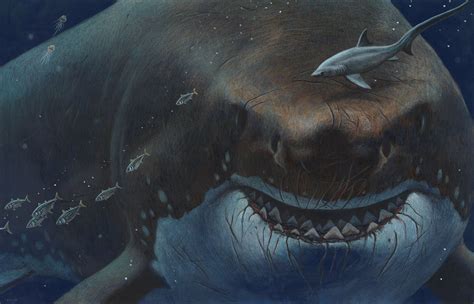 Megalodon: Uncovering Lesser-Known Facts About the Prehistoric Behemoth ...