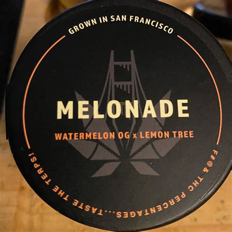 Strain Review: Melonade by SF Cultivators - The Highest Critic