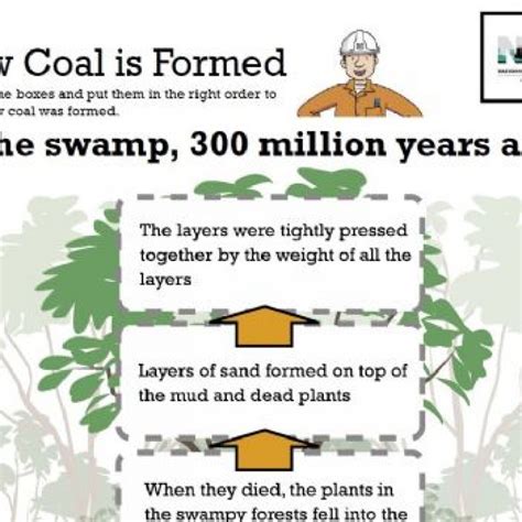 How Coal is Formed diagram • MyLearning