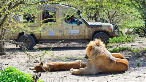 The Top 10 Best African Safari Wildlife Parks To Visit in 2019