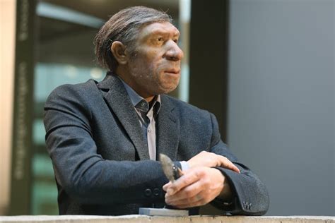 Our Homo sapiens Ancestors Shared the World With Neanderthals, Denisovans and Other Types of ...