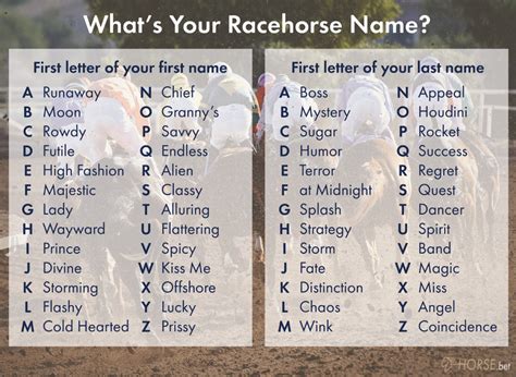 Your Racehorse Name Generator - Horse.Bet