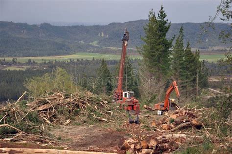 Logging operation stock photo. Image of pinus, machinery - 18698938