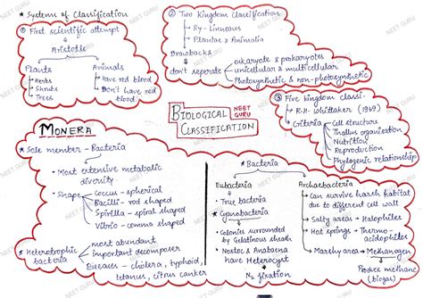 SOLUTION: Chap 2 biological classification mind map - Studypool