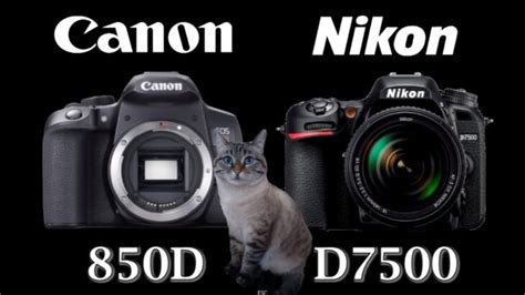 Canon EOS 850D / Rebel T8i vs Nikon D7500 │ ガジェット-youtube動画リンクまとめ