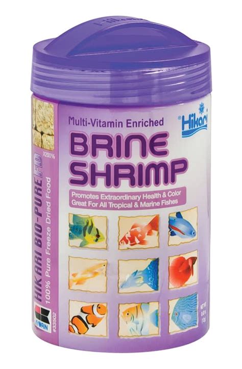 Feeding Brine Shrimp to Your Fish - Pet Food Guide