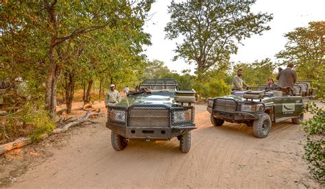 Safari to Ngala Safari Lodge with Africa Travel Resource