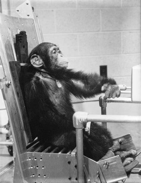 Benchmarks: January 31, 1961: Ham the chimpanzee, first hominid in space