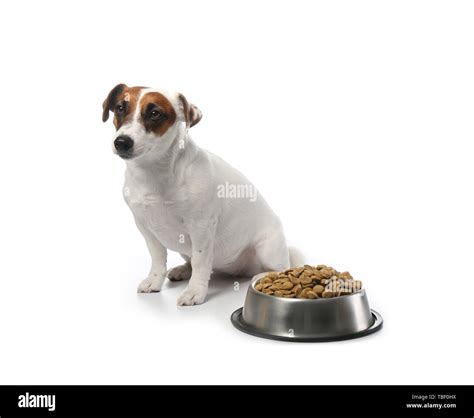 Cute funny dog and bowl with dry food on white background Stock Photo ...