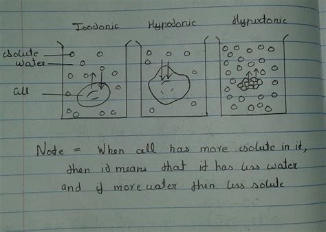 Hypotonic Isotonic Hypertonic Diagram