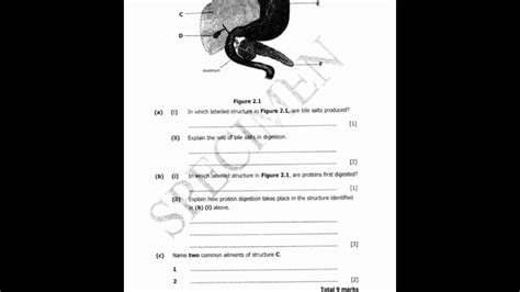 Download-ECZ Past Papers-Grade 12 Biology 2016(specimen) - YouTube