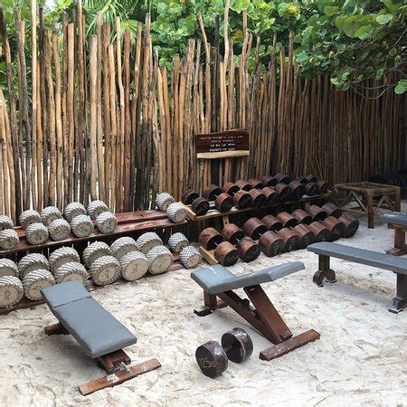 Tulum Jungle Gym: 2019 All You Need to Know Before You Go (with PHOTOS)