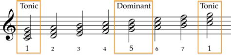 8 Scale of C major showing tonic and dominant chords | School of ...