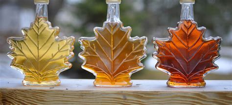 Maple Syrup Shortage Prompts Canada to Release Strategic Reserves - Falstaff