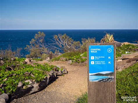 Hiking the Coastal Track in Noosa National Park