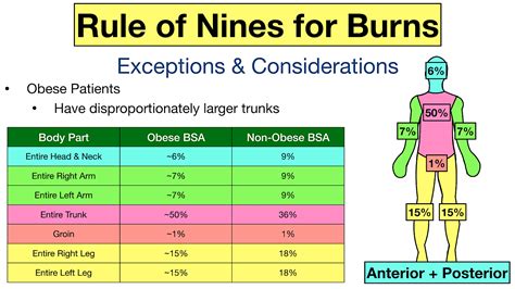 Rule of Nines for Burns: Child and Adult Chart, Calculator, Definition ...