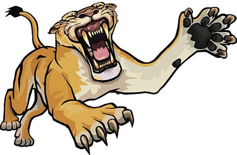 Female Lion Roar stock vectors - iStock