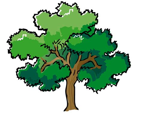 Olive Tree Clipart - Cliparts.co