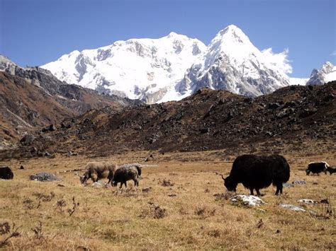 A Famous Mountains of Nepal - DPTREKS