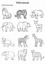 Group Of animals coloring Page Easy To Print sketch template