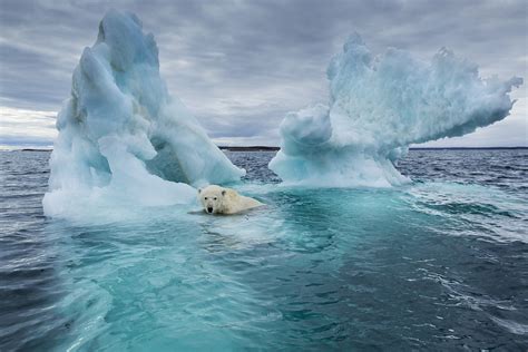 Arctic sea ice melting faster than forecast - CGTN