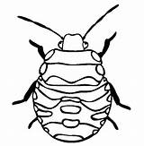 Pill Bug Coloring Page Pages sketch template