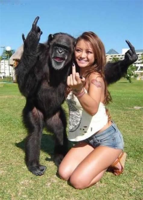 35 Most Funny Flip Off Pictures And Photos | Monkeys funny, Funny animal fails, Animal fails