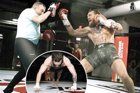 Conor McGregor releases stunning new training pictures as boxing coach ...