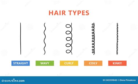 Classification Of Hair Types - Straight, Wavy, Curly, Coily, Kinky. Scheme Of Different Types Of ...