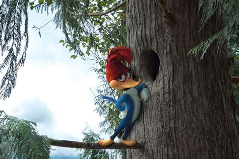 Woody Woodpecker Live Action Movie Teaser Trailer