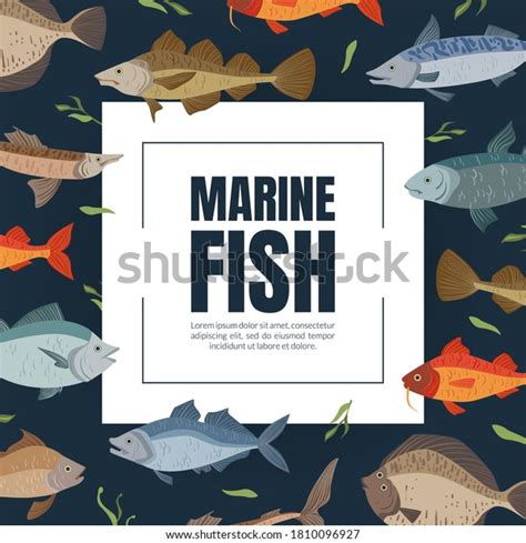 Marine Fish Banner Template Seafood Market Stock Vector (Royalty Free) 1810096927 | Shutterstock