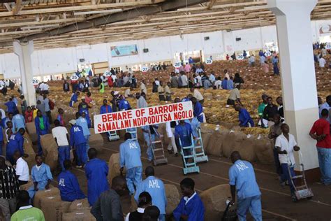 Study Backs Tobacco Farming In Malawi - Tobacco Reporter