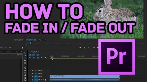 How to Fade In and Fade Out Effect in Premiere Pro CC - YouTube