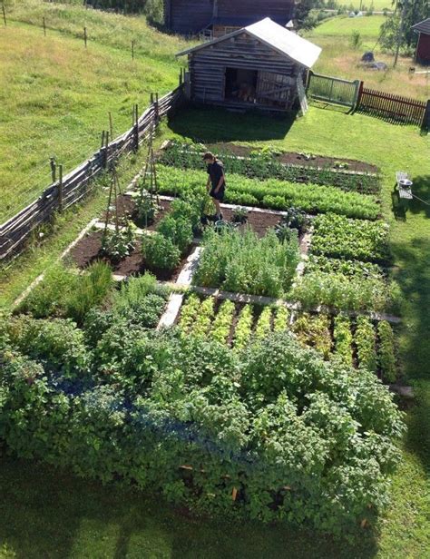 Beautiful Vegetable Garden 30 #beautifulvegetablegardening | Vegetable ...