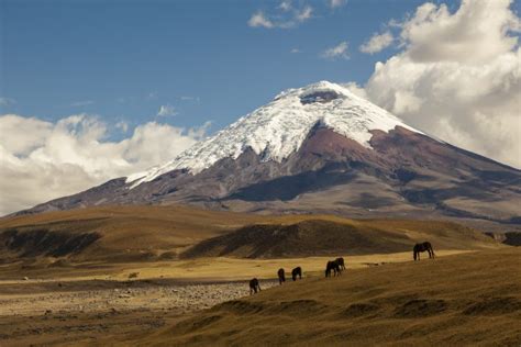 Embark Exploration Co. | Volcanoes of Ecuador - Adventure Travel Package