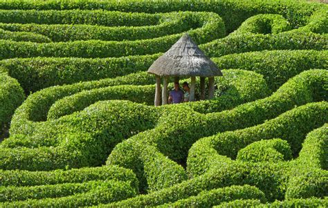 7 Hedge Mazes To Enchant (And Entrap) You - Atlas Obscura