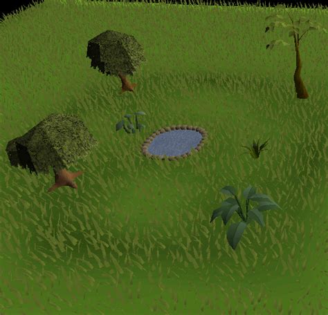 Garden - OSRS Wiki