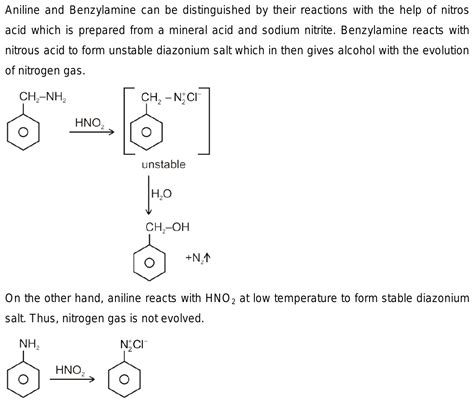 Difference Between Aniline And Benzylamine Compare The, 59% OFF