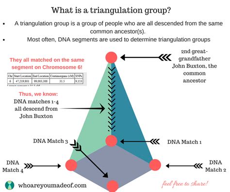 Triangulation of DNA Segments: Frequently Asked Questions - Who are You Made Of?