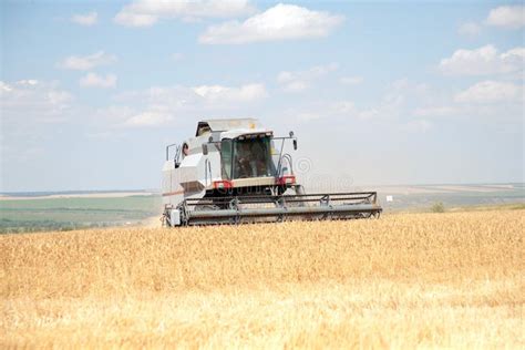 Harvester Machine To Harvest Wheat Field Working Stock Photo - Image of grain, field: 129591118