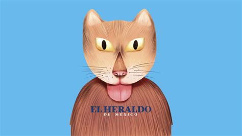 ¡Aquí hay 'Gato encerrado'! Conoce el secreto - El Heraldo de México