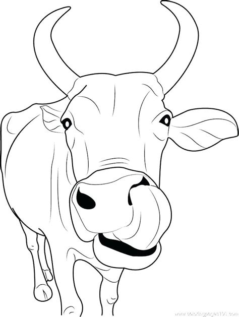 Cartoon Cow Coloring Pages at GetColorings.com | Free printable colorings pages to print and color