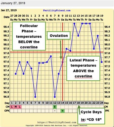 Ovulation Basal Temperature Chart Sample