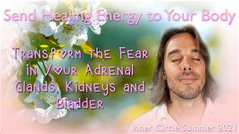 Transform the Fear that Causes Illness in Your Adrenal Glands, Kidneys and Bladder | Inner ...