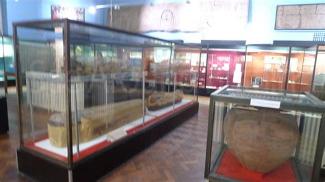 Bolton Museum, Aquarium and Archive, Bolton, Greater Manchester - See ...