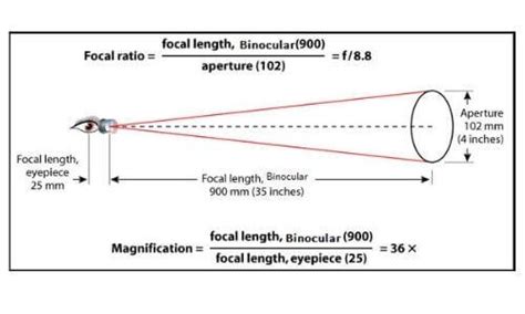 Binocular Magnification Chart 2022 | Step-By-Step Guide