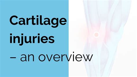 Cartilage injuries - an overview - Sports Injury | Online