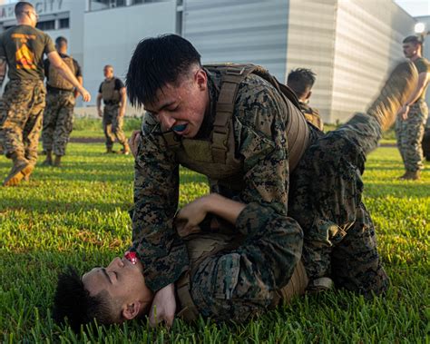 DVIDS - Images - U.S. Marines conduct morning physical training for a Martial Arts Instructor ...